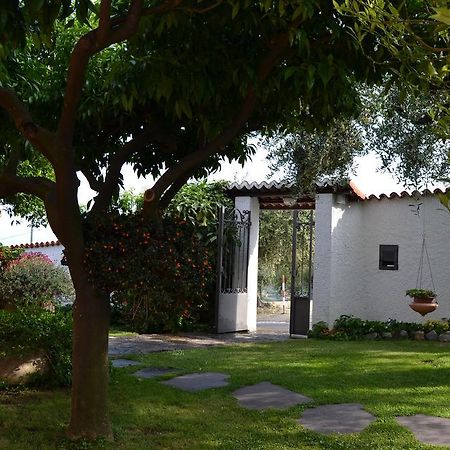 Azienda Agrituristica Villa Arianna Imperia Exteriör bild