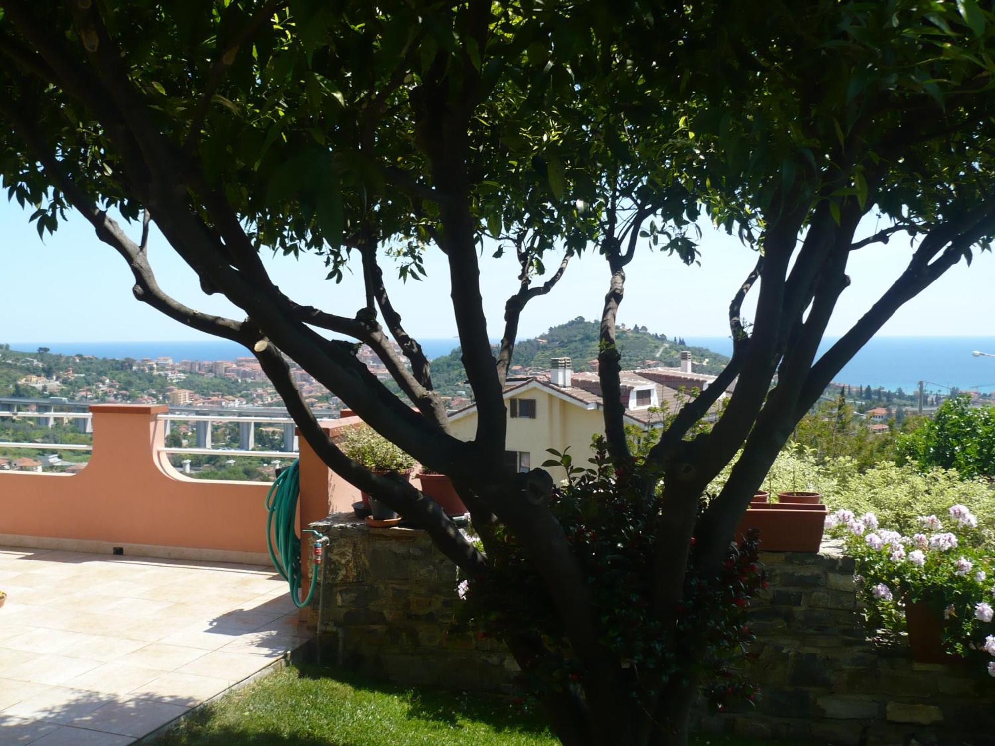 Azienda Agrituristica Villa Arianna Imperia Exteriör bild