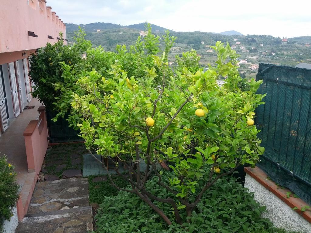 Azienda Agrituristica Villa Arianna Imperia Exteriör bild