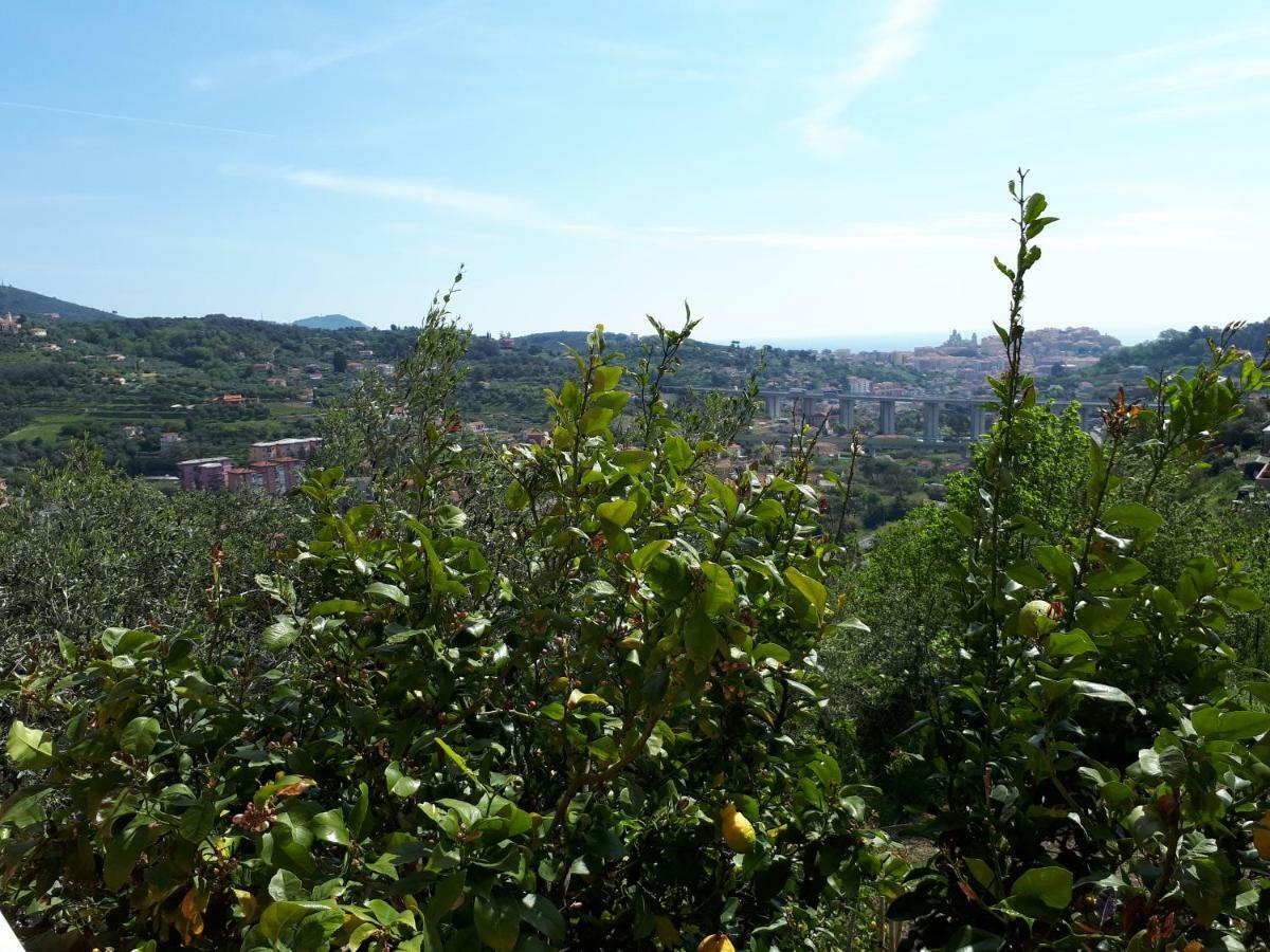 Azienda Agrituristica Villa Arianna Imperia Exteriör bild