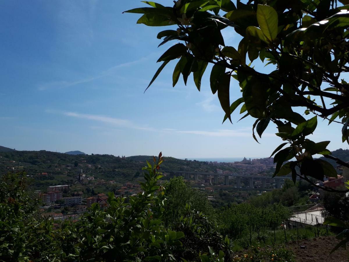 Azienda Agrituristica Villa Arianna Imperia Exteriör bild